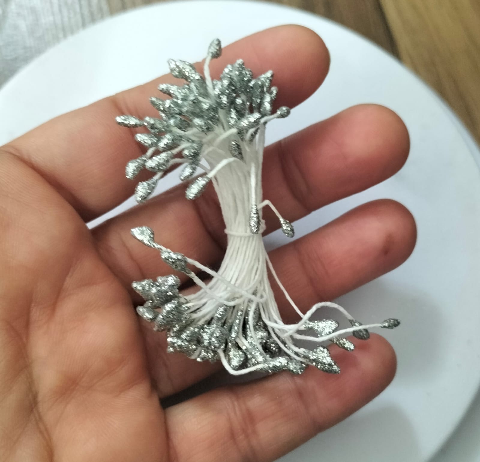 B Çiçek Tohumu 80 adet tek renk